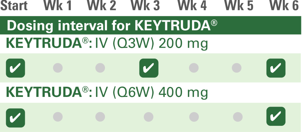 Keytruda For Stage 4 Stomach Cancer KEYTRUDA® (pembrolizumab) in oesophageal cancer - MSD Insight Denmark